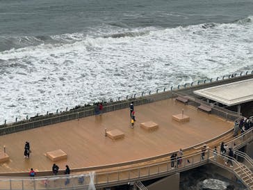 アクアワールド茨城県大洗水族館に投稿された画像（2025/11/30）