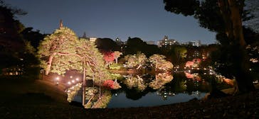 六義園に投稿された画像（2025/11/30）
