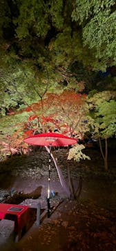 六義園に投稿された画像（2025/11/30）