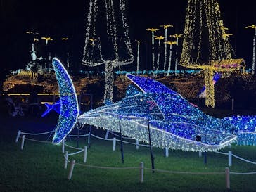 美らヤシパークオキナワ・東南植物楽園に投稿された画像（2025/11/30）