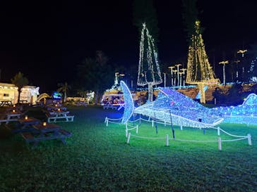 美らヤシパークオキナワ・東南植物楽園に投稿された画像（2025/11/30）