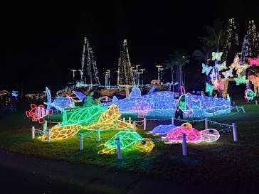 美らヤシパークオキナワ・東南植物楽園に投稿された画像（2025/11/30）