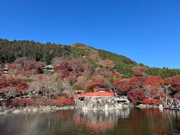 勝尾寺に投稿された画像（2025/11/30）