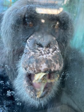 伊豆シャボテン動物公園に投稿された画像（2025/12/1）