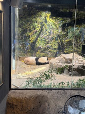 恩賜上野動物園に投稿された画像（2025/12/1）