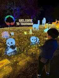 つま恋イルミネーションに投稿された画像（2025/12/1）