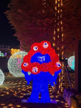 神戸イルミナージュに投稿された画像（2025/12/1）