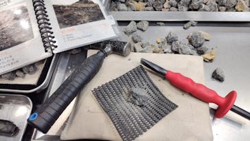 福井県立恐竜博物館に投稿された画像（2025/12/1）