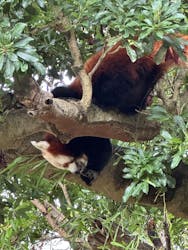 熱川バナナワニ園に投稿された画像（2025/12/1）