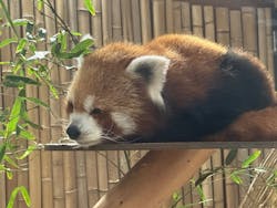 熱川バナナワニ園に投稿された画像（2025/12/1）