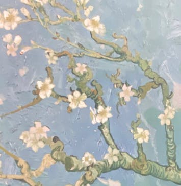 ゴッホ展　家族がつないだ画家の夢（東京都美術館）に投稿された画像（2025/12/1）