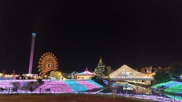 レオマリゾートに投稿された画像（2025/12/1）