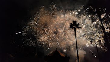 レオマリゾートに投稿された画像（2025/12/1）