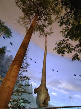 福井県立恐竜博物館に投稿された画像（2025/12/1）