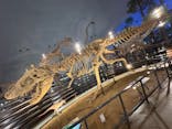 福井県立恐竜博物館に投稿された画像（2025/12/1）