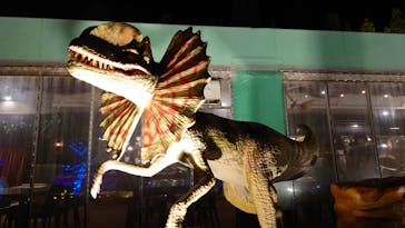 伊豆高原グランイルミに投稿された画像（2025/12/1）