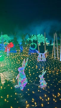 伊豆高原グランイルミに投稿された画像（2025/12/1）