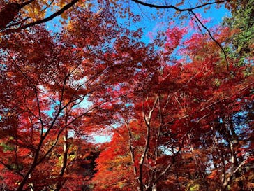名古屋市東山動植物園に投稿された画像（2025/12/1）