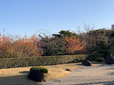 万博記念公園に投稿された画像（2025/12/1）