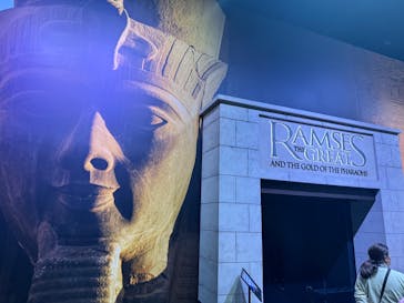 ACN ラムセス大王展 ファラオたちの黄金に投稿された画像（2025/12/1）