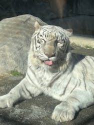 東武動物公園に投稿された画像（2025/12/1）