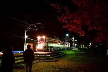 大井川鐵道株式会社に投稿された画像（2025/12/1）