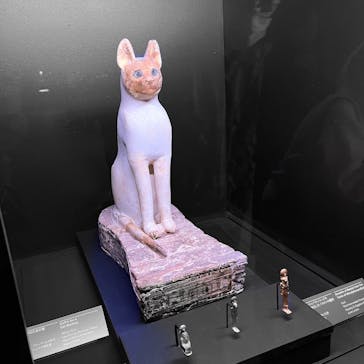 ACN ラムセス大王展 ファラオたちの黄金に投稿された画像（2025/12/1）