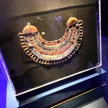 ACN ラムセス大王展 ファラオたちの黄金に投稿された画像（2025/12/1）