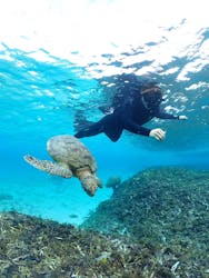 Nami宮古島に投稿された画像（2025/12/1）