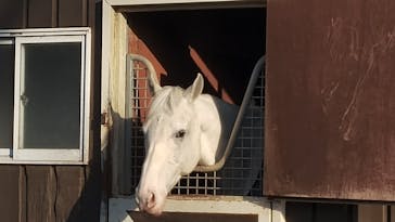 ノーザンホースパークに投稿された画像（2025/12/1）