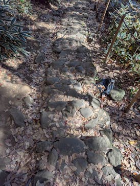 三溪園に投稿された画像（2025/12/1）