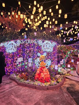 ひらかたパークに投稿された画像（2025/12/1）