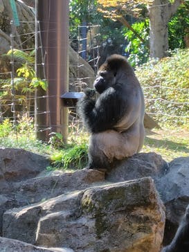 恩賜上野動物園に投稿された画像（2025/12/1）