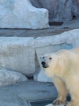 恩賜上野動物園に投稿された画像（2025/12/1）