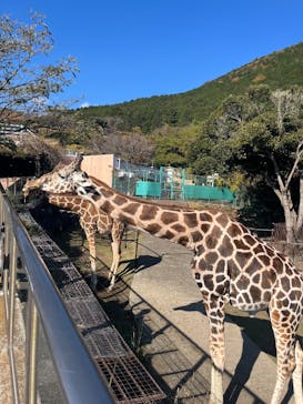 伊豆アニマルキングダムに投稿された画像（2025/12/1）