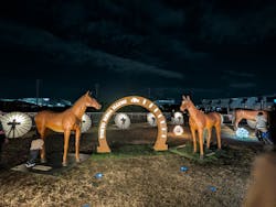 東京メガイルミに投稿された画像（2025/12/1）