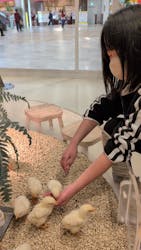 Moff animal cafe イオンモール名取店に投稿された画像（2025/12/1）