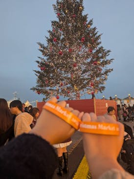 Christmas Market in 横浜赤レンガ倉庫 2025に投稿された画像（2025/12/1）