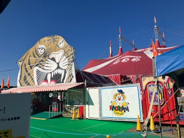 木下大サーカス立川公演に投稿された画像（2025/12/1）