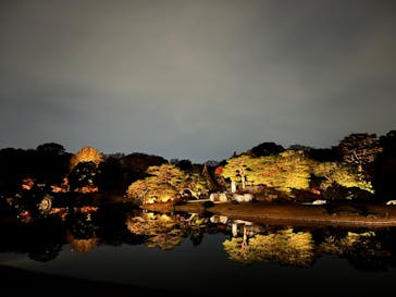 六義園に投稿された画像（2025/12/1）