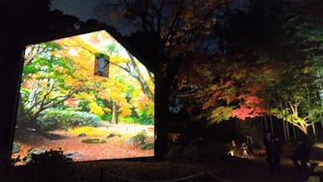 六義園に投稿された画像（2025/12/1）