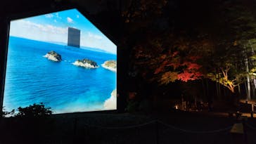 六義園に投稿された画像（2025/12/1）