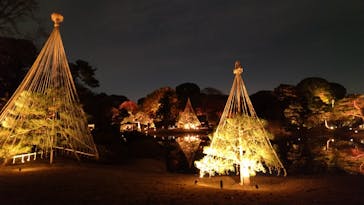 六義園に投稿された画像（2025/12/1）