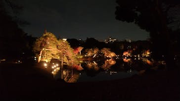 六義園に投稿された画像（2025/12/1）