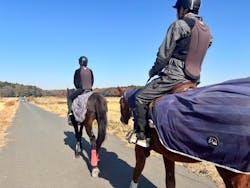 乗馬クラブ 千葉ライディングパークに投稿された画像（2025/12/1）