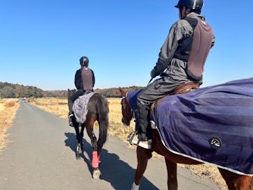 乗馬クラブ 千葉ライディングパークに投稿された画像（2025/12/1）