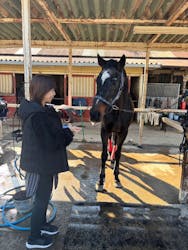 乗馬クラブ 千葉ライディングパークに投稿された画像（2025/12/1）