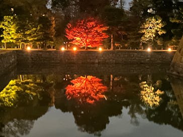 NAKED meets 二条城 2025 観月に投稿された画像（2025/12/1）