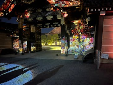 NAKED meets 二条城 2025 観月に投稿された画像（2025/12/1）