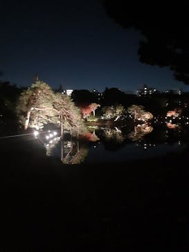 六義園に投稿された画像（2025/12/1）